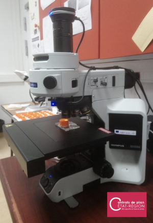 Photographie d'un microscope